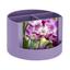 cor LILAS