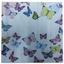 cor butterfly white