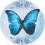 cor Borboletas BBL056