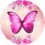 cor Borboletas BBL057