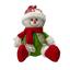 cor Boneco de Neve2