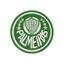 cor Palmeiras