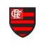 cor Flamengo
