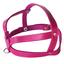 cor Rosa