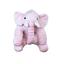 cor Rosa