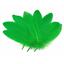 cor Verde Bandeira