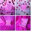 cor ROSA