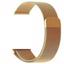 cor Dourado 42 ao 49mm
