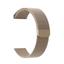 cor Champanhe 42 ao 49mm