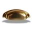 cor  Dourado Fosco