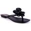 cor Preto brilhante