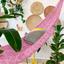 cor Rosa