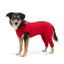 cor Vermelho