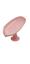 cor ROSA