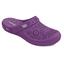 cor Violeta 023