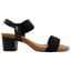 cor Preto, Camel