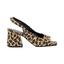cor Animal print