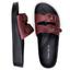 cor Vinho nb02