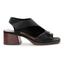 cor Preto