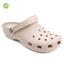 cor Bege
