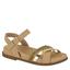 cor Tan, Dourado