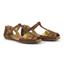 cor Bronze