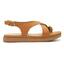 cor Camel