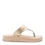 cor Matte metalic light gold