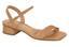 cor Camel