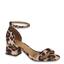 cor Multi camel