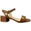 cor Avela, Camel