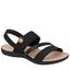 cor Preto, Camel