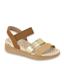 cor Dourado, Areia, Camel