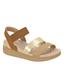 cor Dourado, Camel
