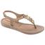 cor Gold, Taupe