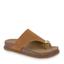 cor Camel