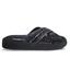 cor Preto