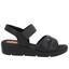 cor Preto, Camel