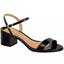 cor Preto verniz premium