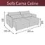 cor SUEDE MARROM