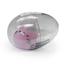 cor Gato rosa