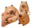 cor Capivara
