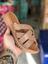 cor Camel