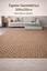 cor Marrom Parquet