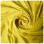 cor Amarelo Canario