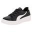 cor Preto, Branco