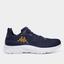 cor Marinho, Dourado