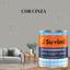 cor Cinza