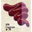 cor 379 - CARMIM