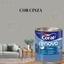 cor CINZA